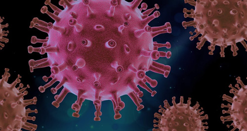 I linfociti T possono proteggere dalle varianti di SARS-CoV-2 anche in assenza di anticorpi