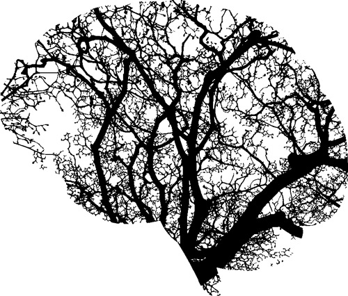 Alzheimer: nuovi elementi per comprendere la neurodegenerazione